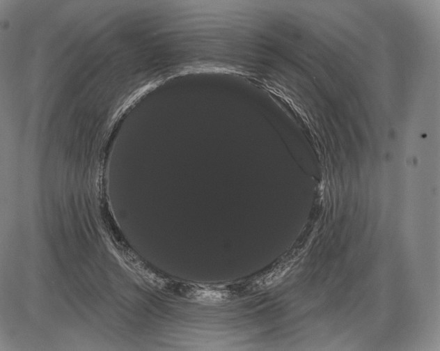 X0000085040352200704021259