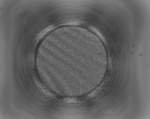 X0000085040354200704021259