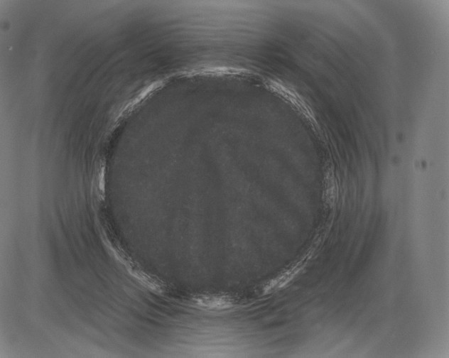 X0000085040358200704021259