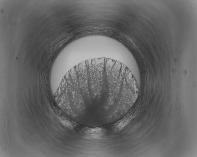 X0000085040364200704021300
