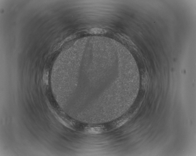 X0000085040368200704021300