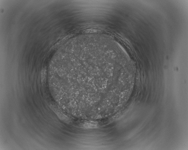 X0000085040369200704021300