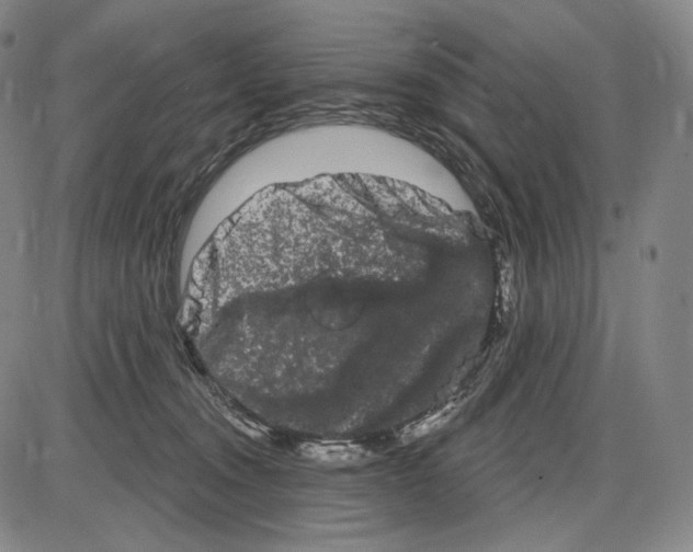 X0000085040372200704021300