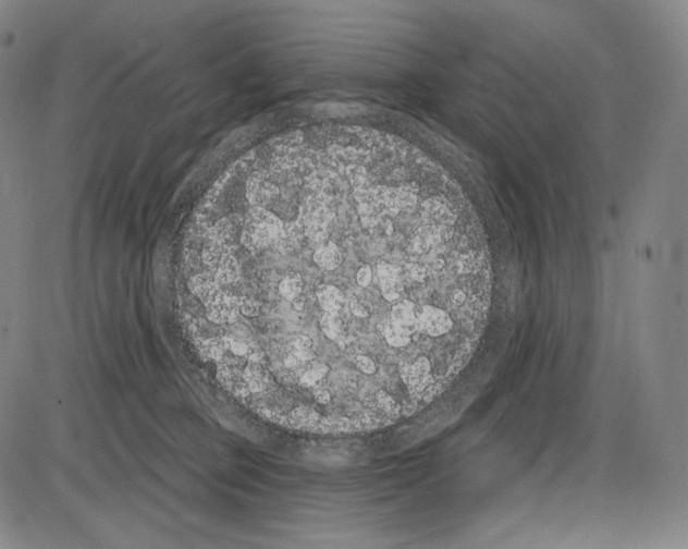 X0000085040373200704021300