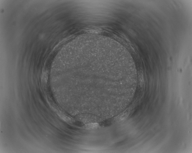 X0000085040374200704021300