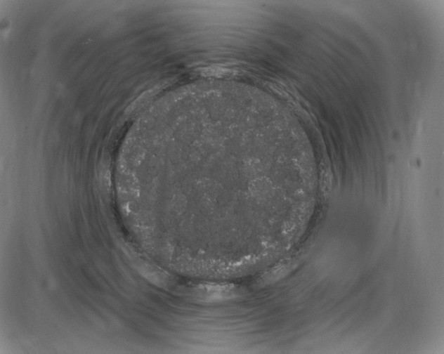 X0000085040375200704021300