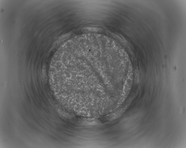 X0000085040377200704021300