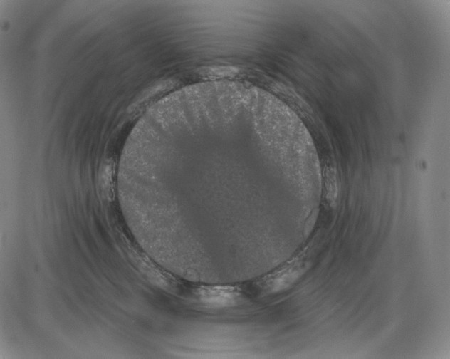 X0000085040378200704021300