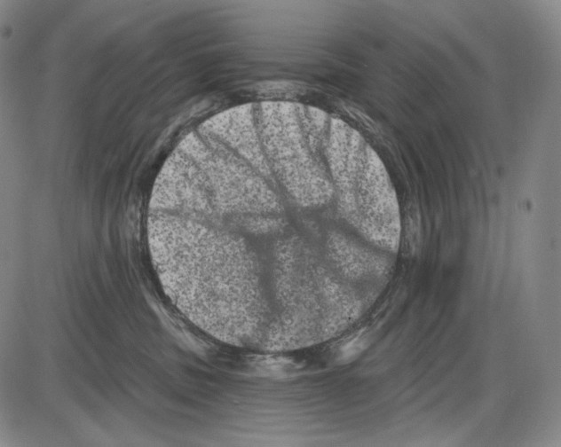 X0000085040379200704021300