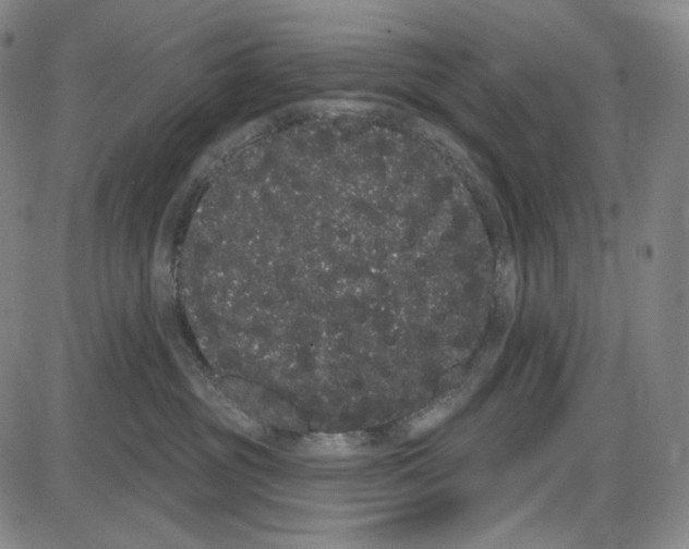 X0000085040381200704021300