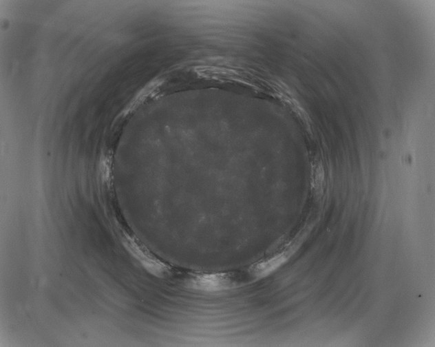 X0000085040382200704021300