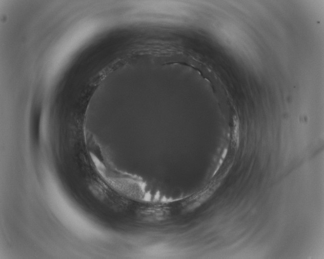 X0000085040383200704021300