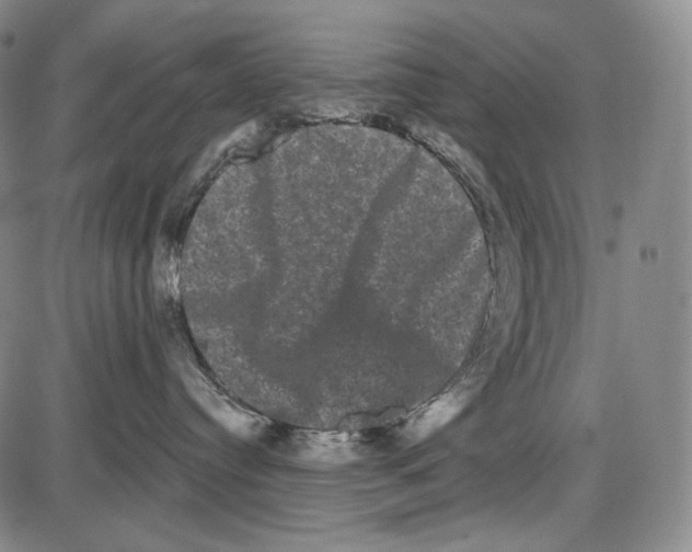 X0000085040384200704021300