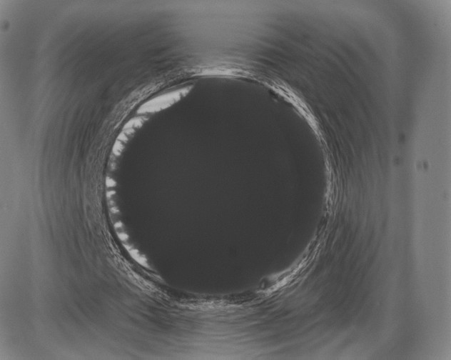 X0000085040385200704021259