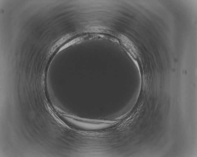 X0000085040389200704021259