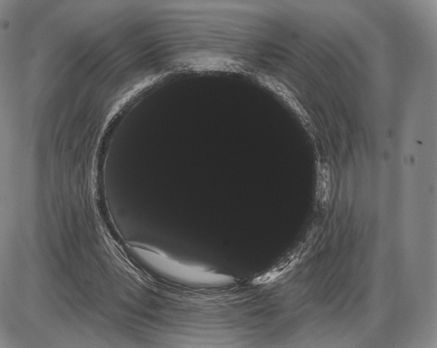 X0000085040391200704021259