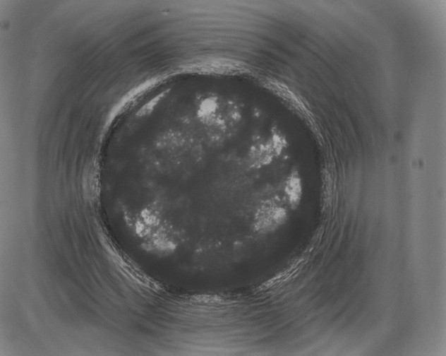 X0000085040392200704021259