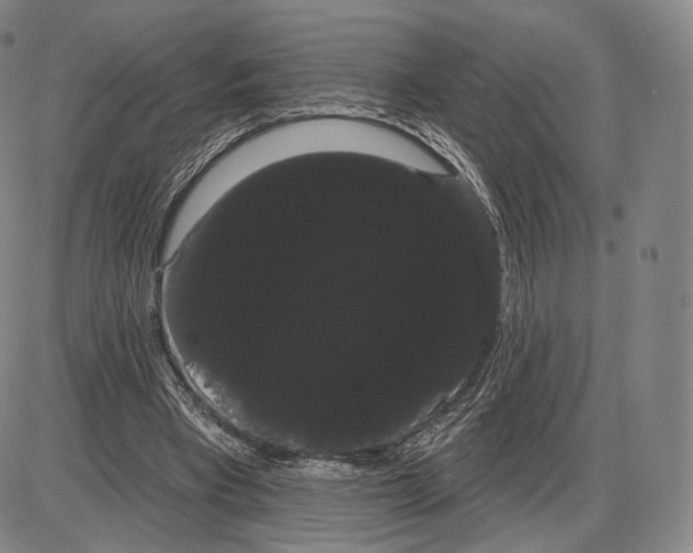 X0000085040393200704021259