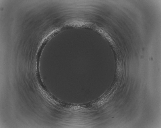 X0000085040399200704021259
