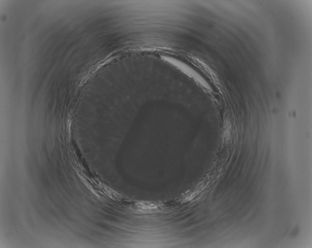 X0000085040405200704021259