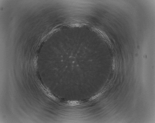 X0000085040409200704021259