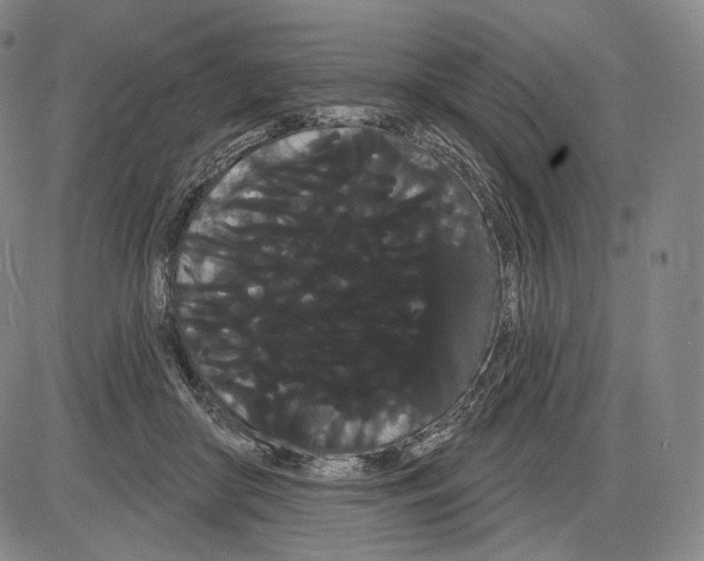 X0000085040410200704021259