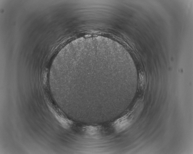 X0000085040412200704021259
