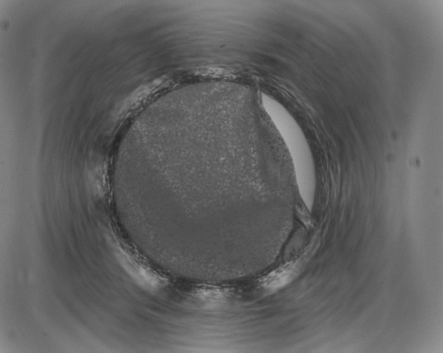X0000085040416200704021259