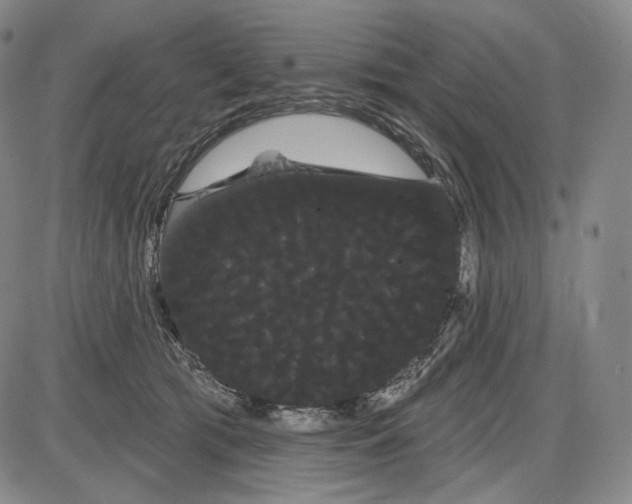 X0000085040417200704021259