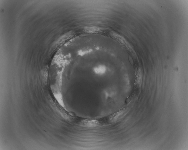 X0000085040427200704021258