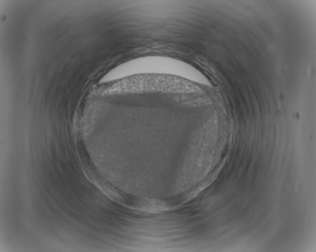 X0000085040429200704021258