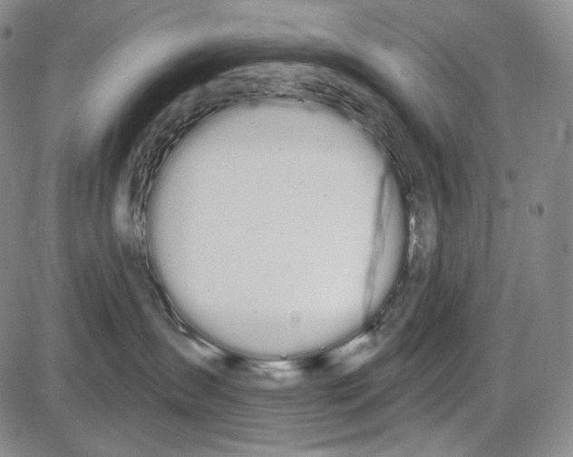 X0000085040431200704021258