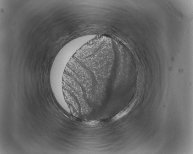 X0000085040432200704021258