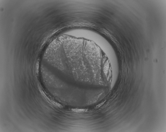 X0000085040448200704021258