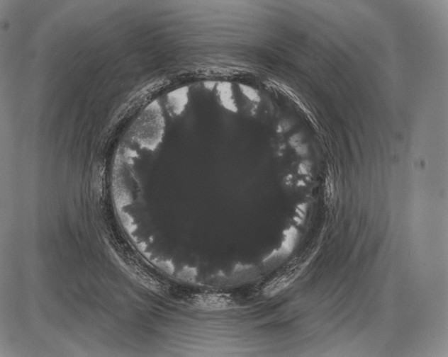X0000085040451200704021258