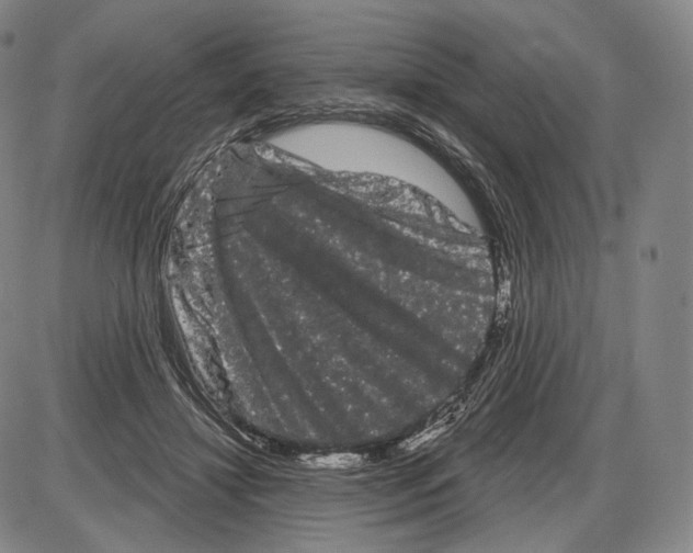 X0000085040452200704021258