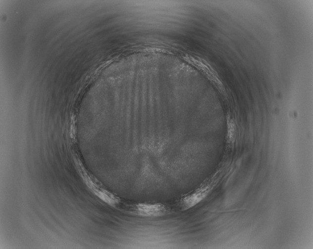 X0000085040457200704021258