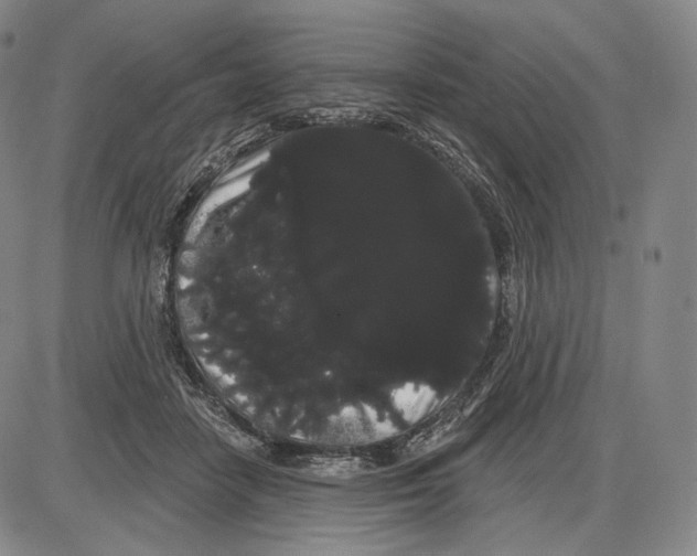 X0000085040458200704021258