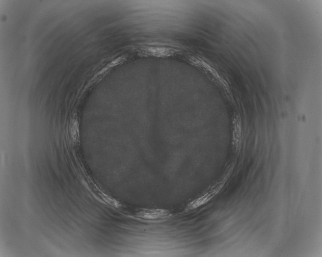X0000085040459200704021258