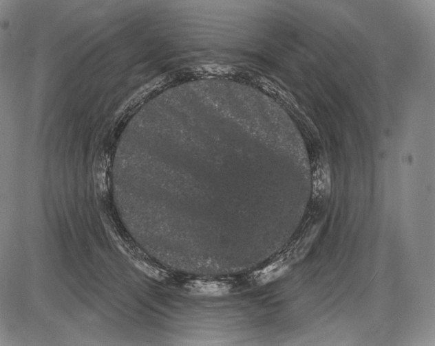 X0000085040464200704021258