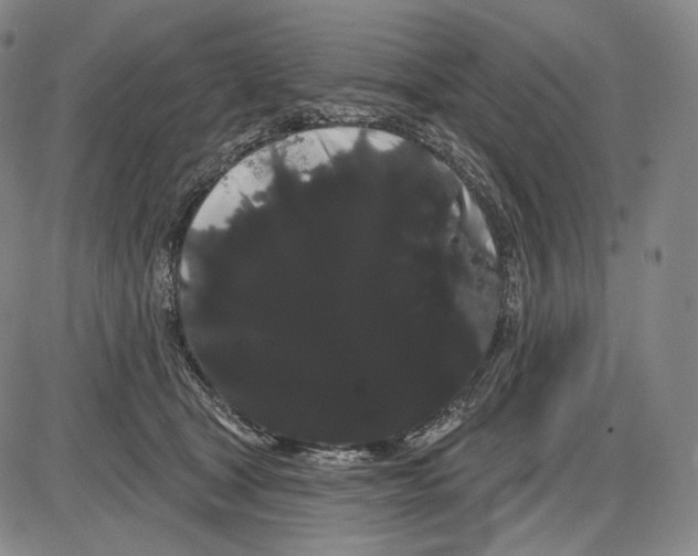 X0000085040465200704021258