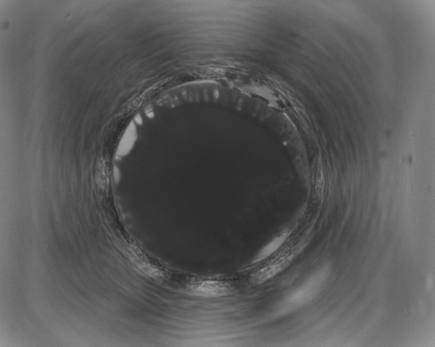 X0000085040467200704021258