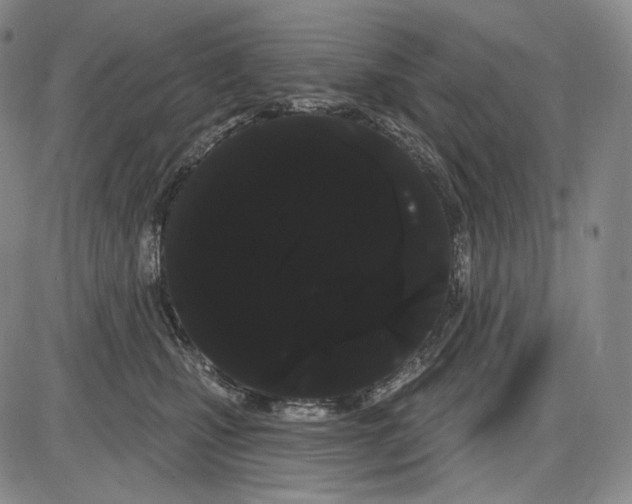 X0000085040471200704021258