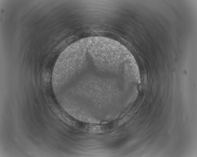 X0000085040472200704021258