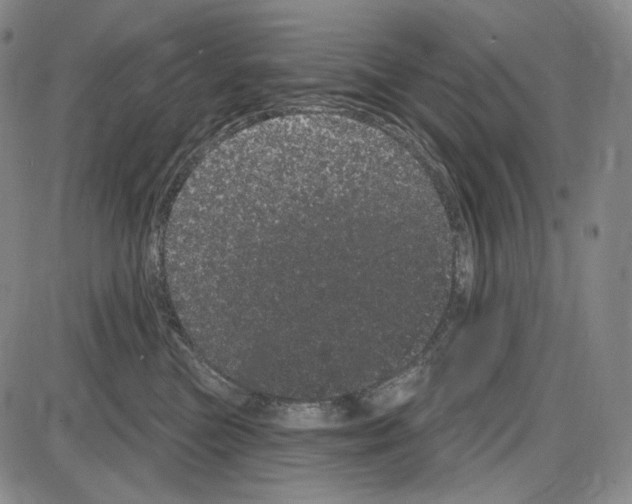 X0000085040473200704021258