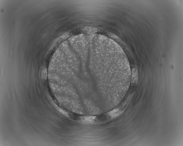 X0000085040474200704021258