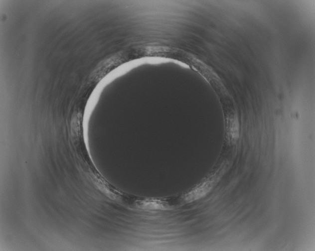 X0000085040475200704021258