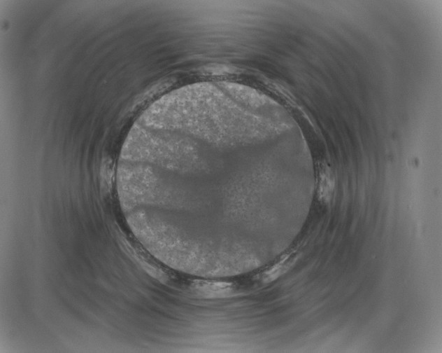 X0000085040476200704021258