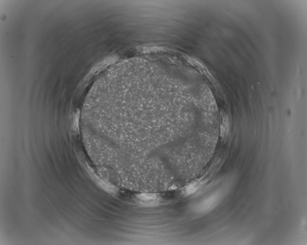 X0000085040477200704021258