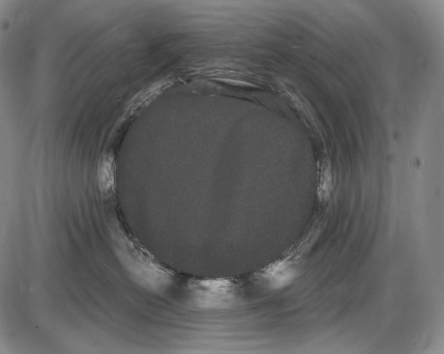 X0000085040478200704021258
